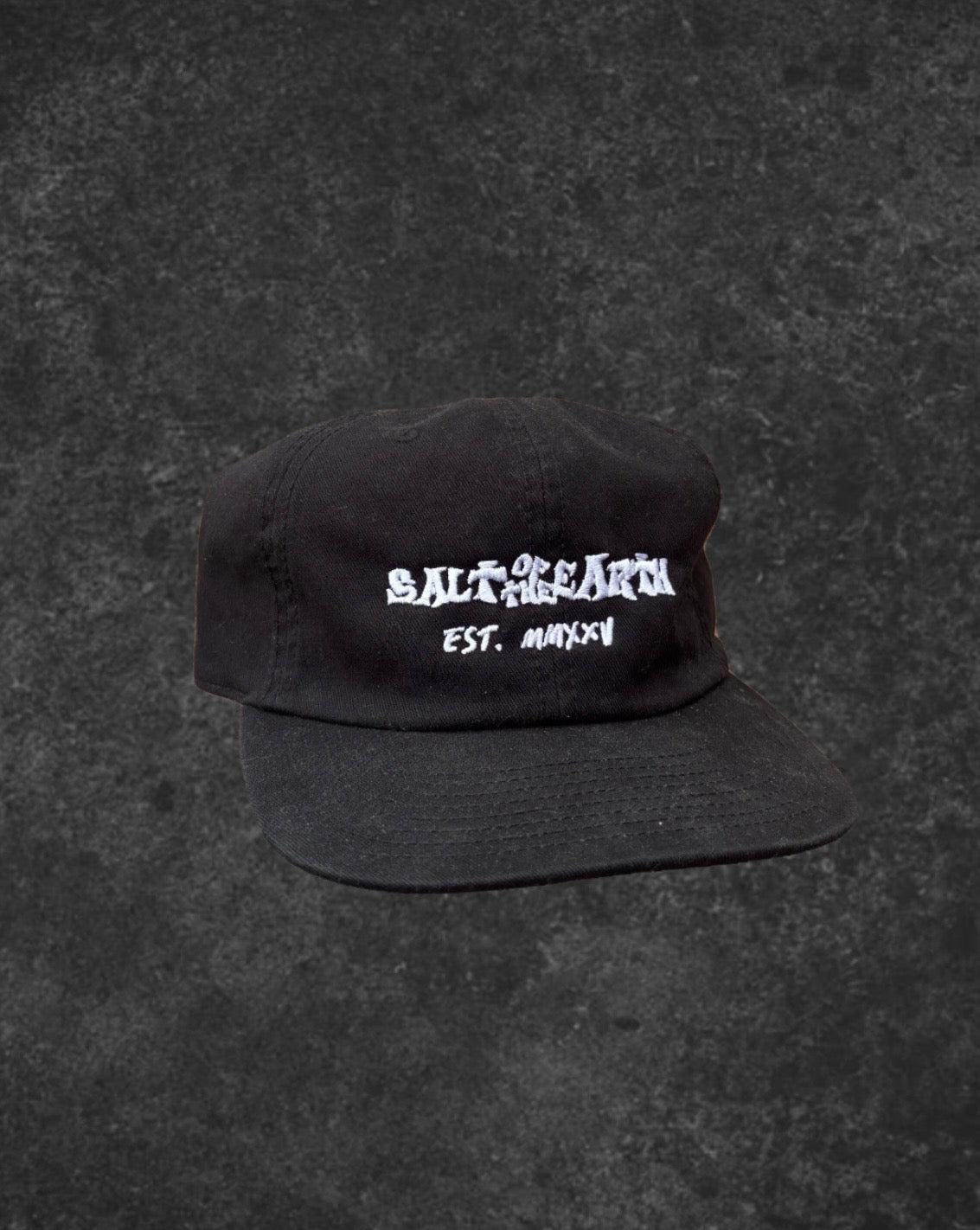 SALT OF THE EARTH // EST. MMXXV - 6 PANEL CAP