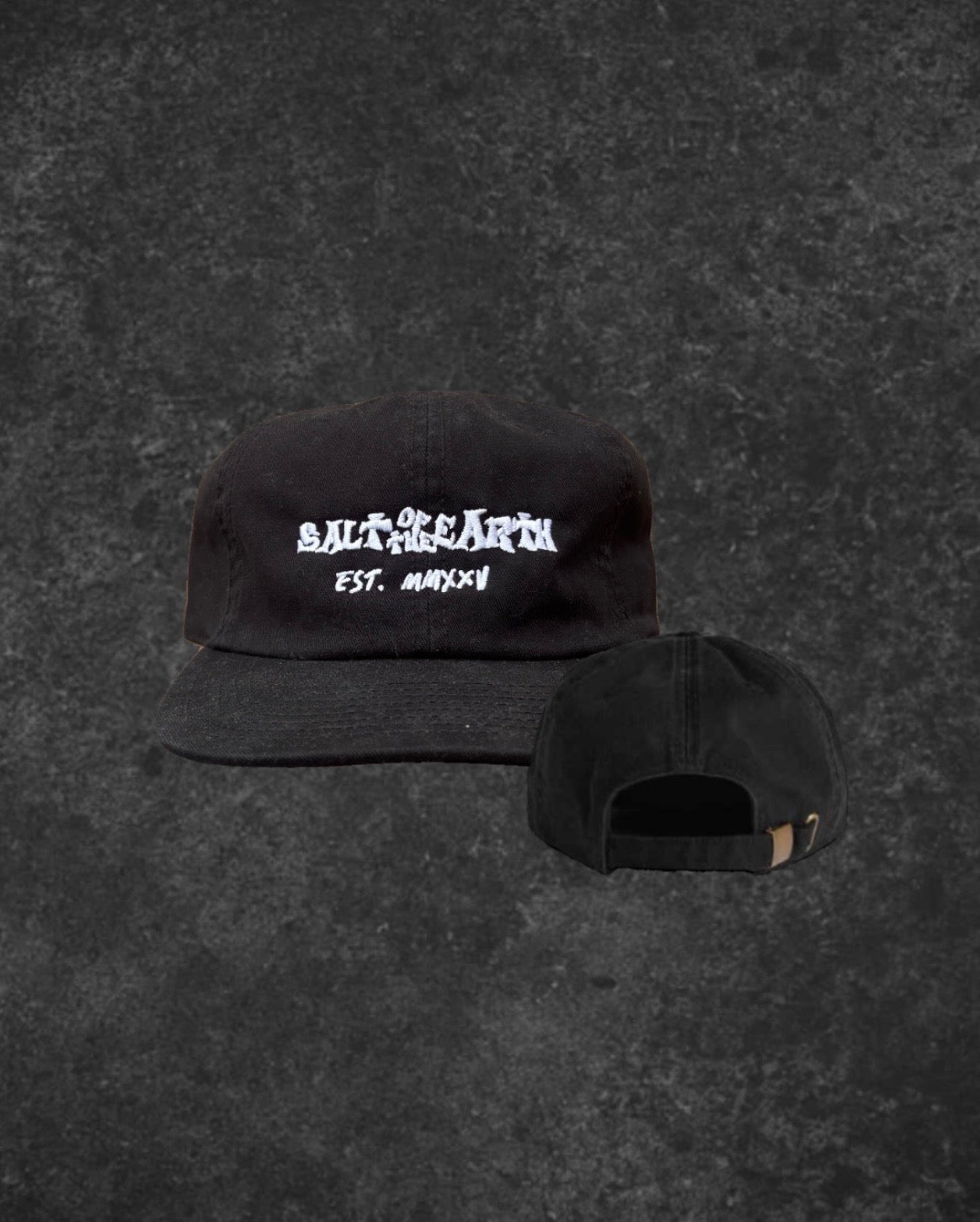 SALT OF THE EARTH // EST. MMXXV - 6 PANEL CAP